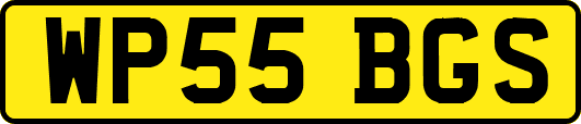 WP55BGS