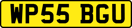 WP55BGU