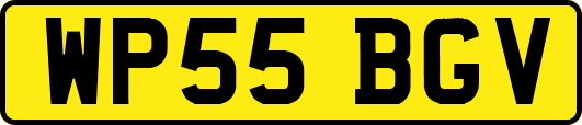 WP55BGV