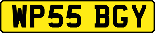 WP55BGY