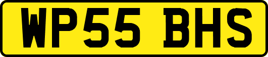 WP55BHS