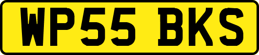 WP55BKS