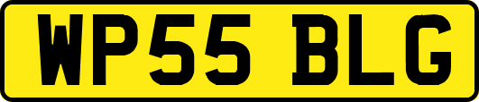 WP55BLG