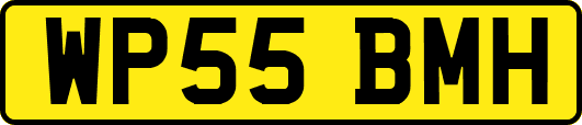 WP55BMH