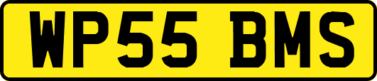 WP55BMS