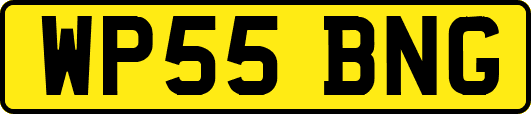 WP55BNG