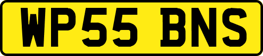 WP55BNS
