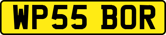 WP55BOR