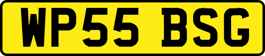 WP55BSG
