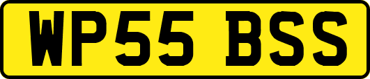 WP55BSS
