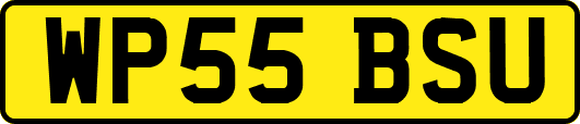 WP55BSU
