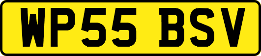 WP55BSV