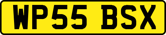 WP55BSX
