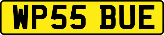 WP55BUE