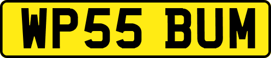 WP55BUM