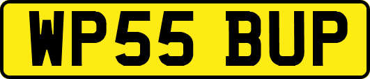 WP55BUP