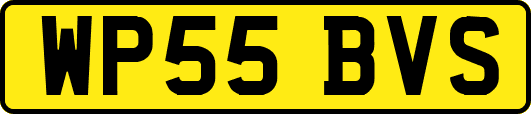 WP55BVS