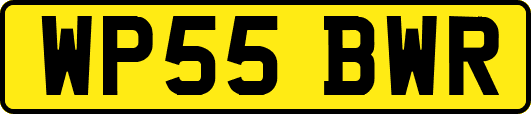 WP55BWR
