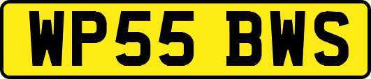 WP55BWS