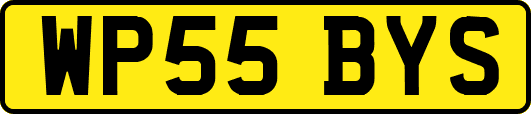 WP55BYS