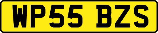 WP55BZS