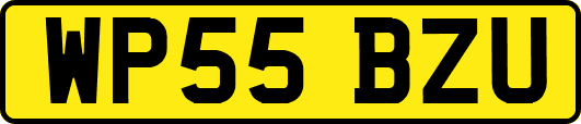WP55BZU