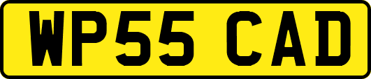 WP55CAD