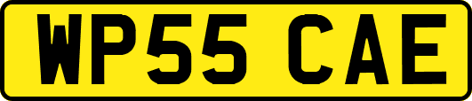 WP55CAE