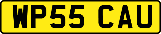 WP55CAU