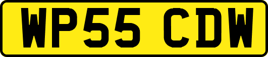 WP55CDW