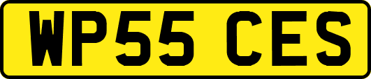 WP55CES
