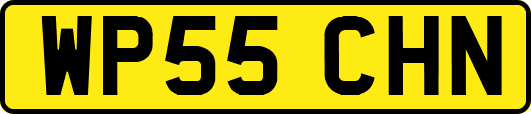 WP55CHN