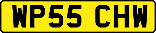 WP55CHW
