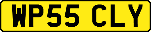 WP55CLY