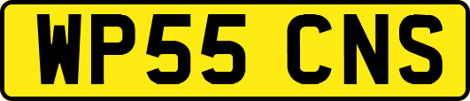 WP55CNS