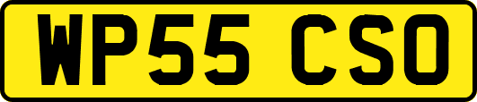 WP55CSO