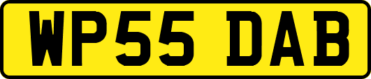 WP55DAB