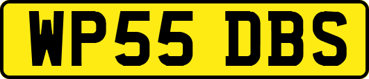 WP55DBS