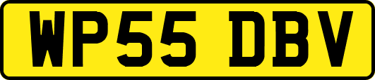 WP55DBV