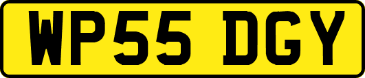 WP55DGY