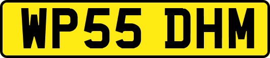 WP55DHM