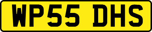 WP55DHS