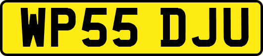 WP55DJU