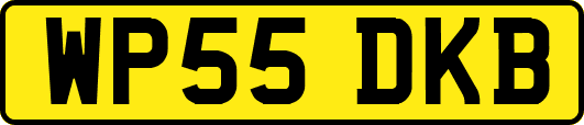 WP55DKB