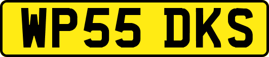 WP55DKS
