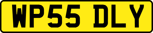 WP55DLY