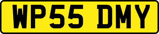 WP55DMY