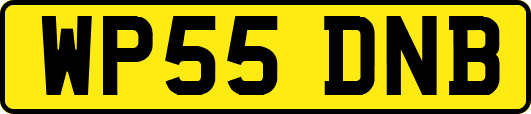 WP55DNB