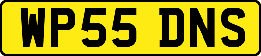 WP55DNS