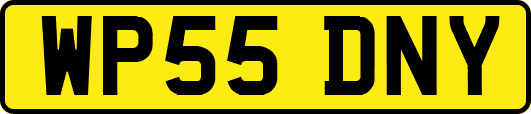 WP55DNY